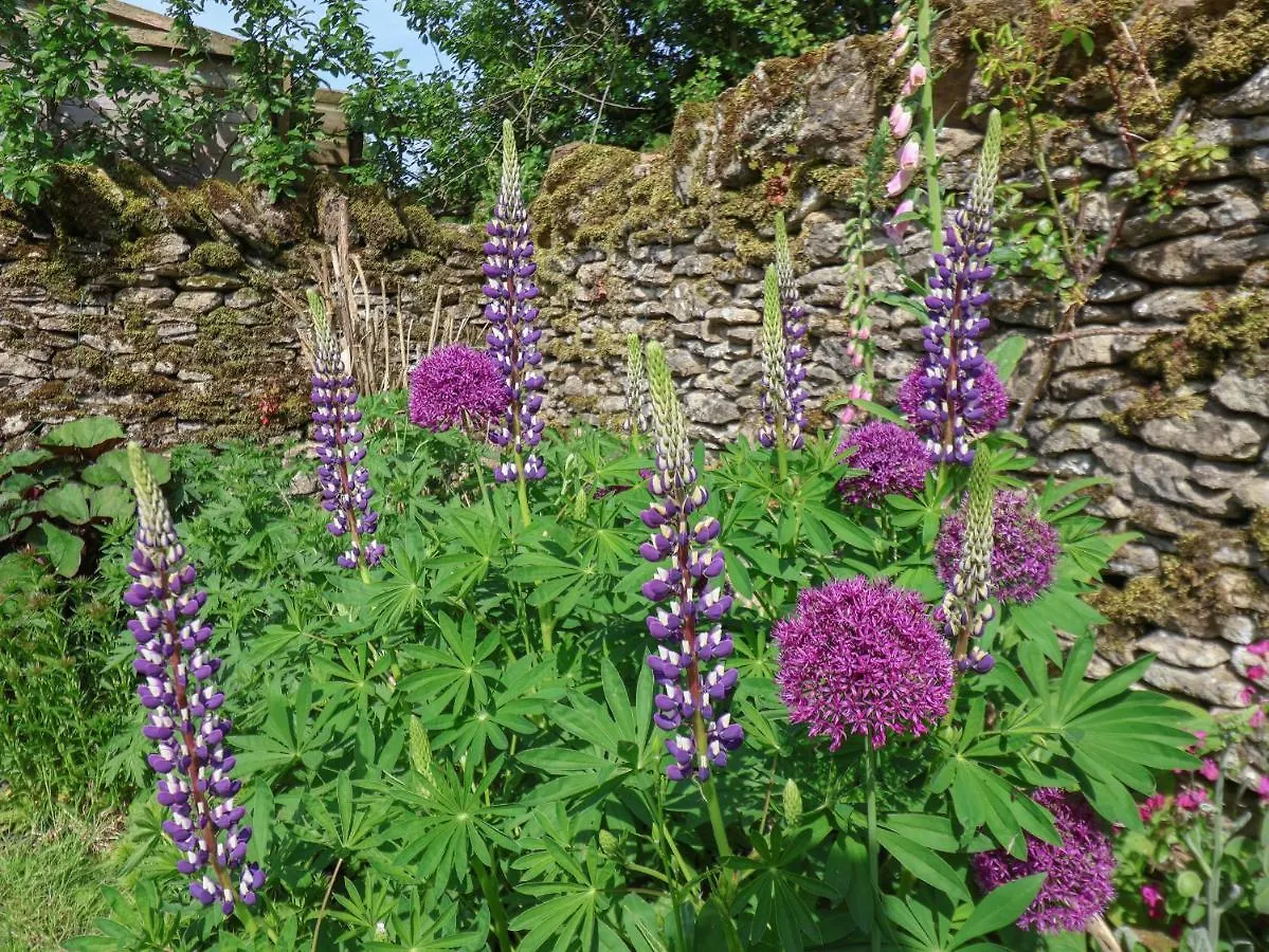 Bute Cottage Pickering Holiday home