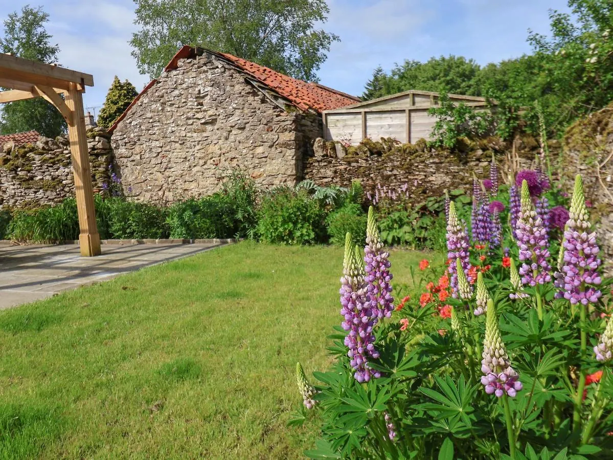 Bute Cottage Pickering 0*,